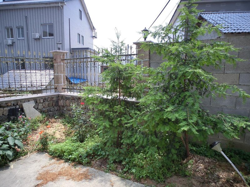 Wangxingju Hotel Over view