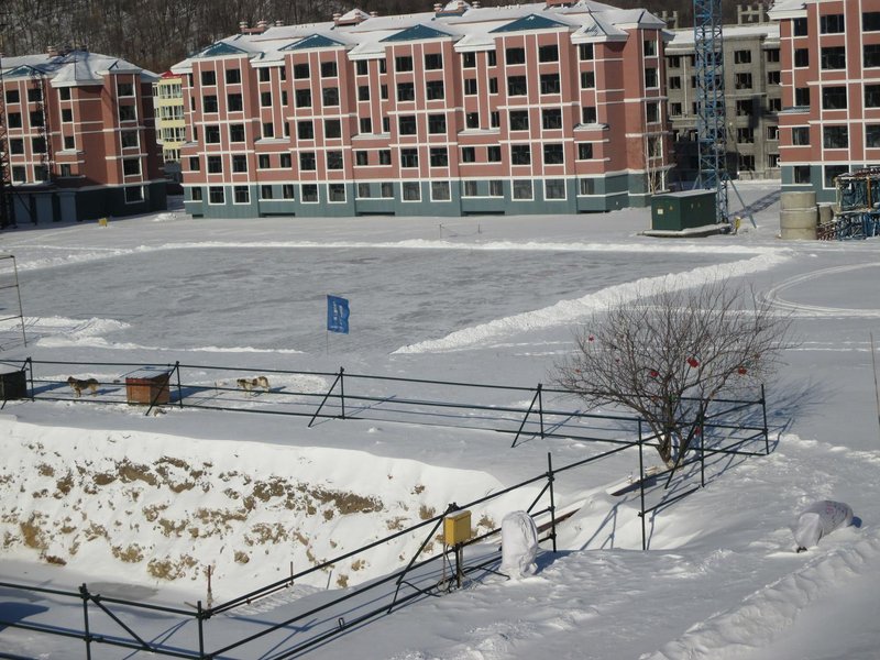 Yabuli Qingyun County Xin Ding Apartment Hotel Over view