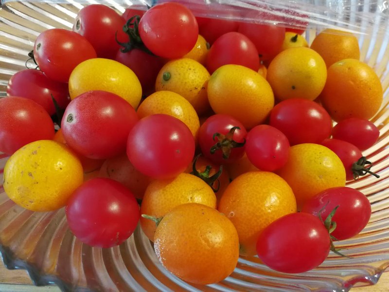 Forest Garden Restaurant