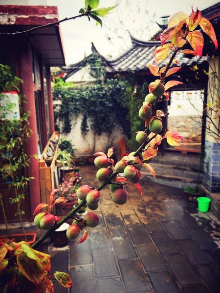 Lijiang beam Hezhi Park Inn Over view