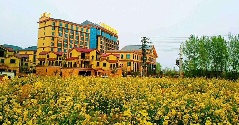 Zhongyuan Sunny International Hotel Over view