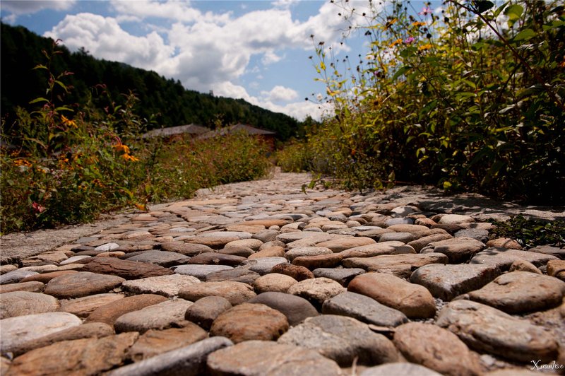 Shangbahe Forest National ParkOver view