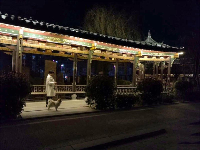 Phoenix InnOver view