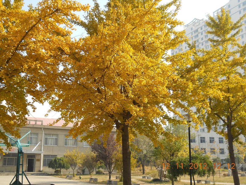 沂景假日酒店(临沂沂蒙路党校店)