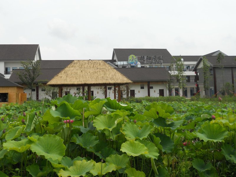 Sun Holiday Hotel Over view