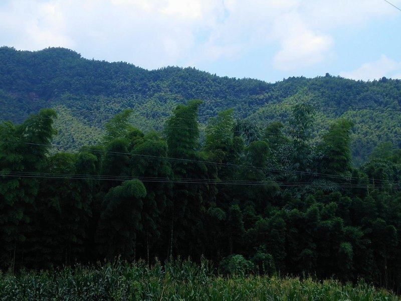 Xinglong village周边景点
