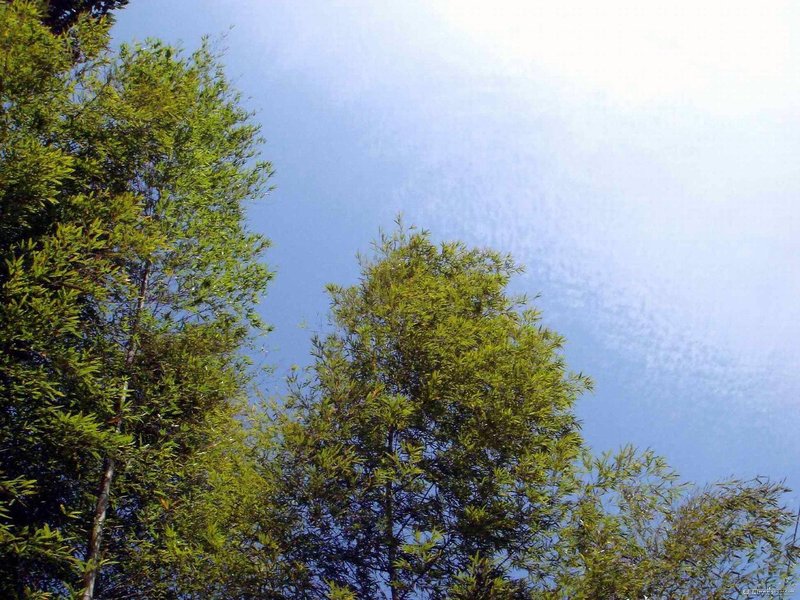 Wenxinge Hostel (Guangzhou Beiting) 周边景点