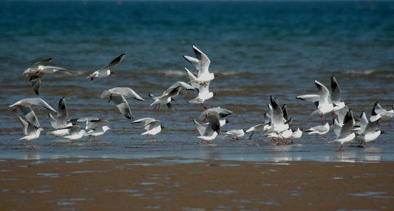 seven hotel周边景点