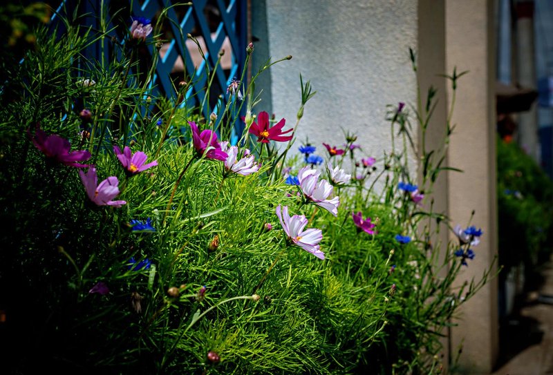 Dear ZhaiZhai Hot spring lodgesOver view