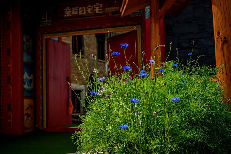 Dear ZhaiZhai Hot spring lodgesOver view