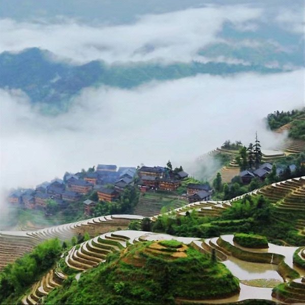 xishan mountain view elegantresidengce Over view