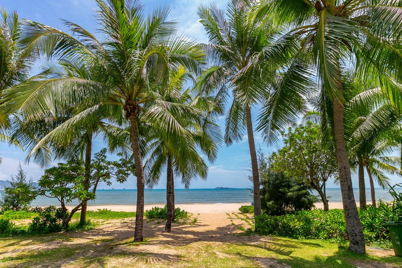 SANYA LEAVES FEATURED APARTMENT Over view