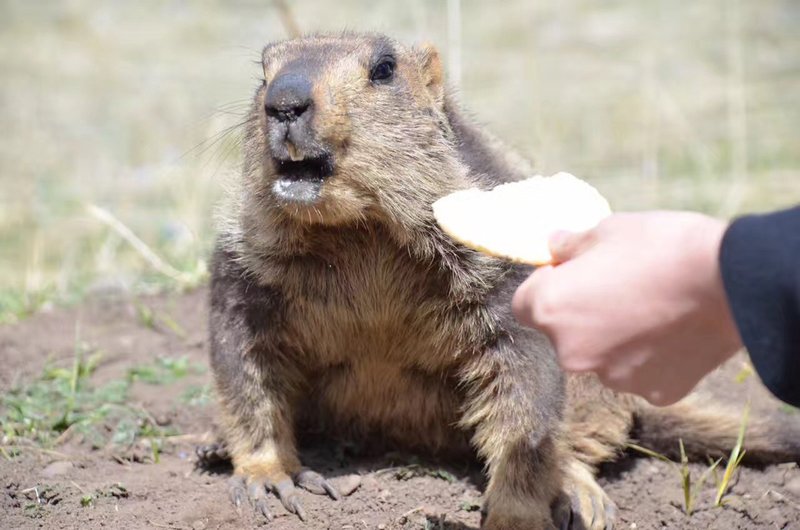 Happiness Hotel周边景点