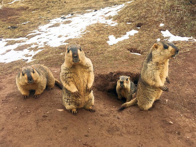 Happiness Hotel周边景点