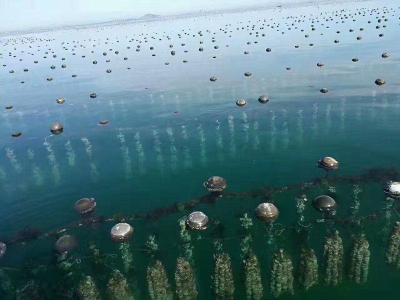 荣成海草房民宿