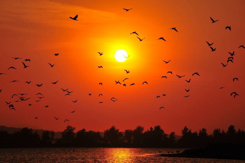 Kinmen The Old House Homestay周边景点