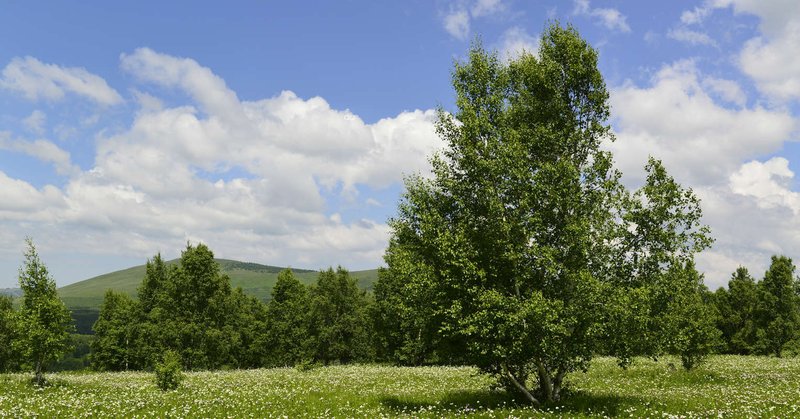 Ulan Buh Village Hotel 周边景点