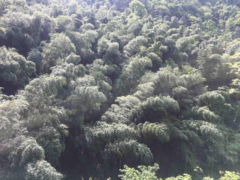 zhang jia jie xiao he shan ju周边景点