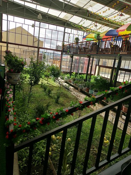 Baolai Ruiyi HotelOther