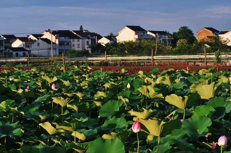 Liyang Chunguang xiaorou Boutique Hostel Over view