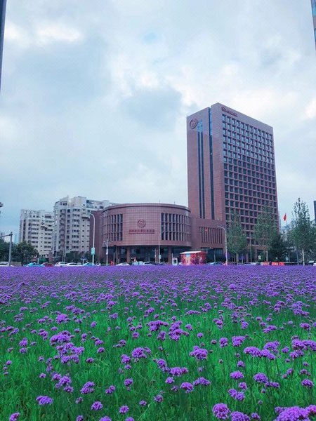 Sheraton Tianjin Binhai HotelOver view