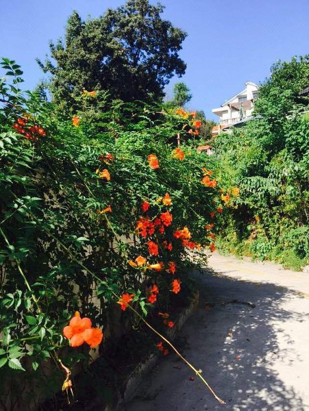 Fresh House Over view