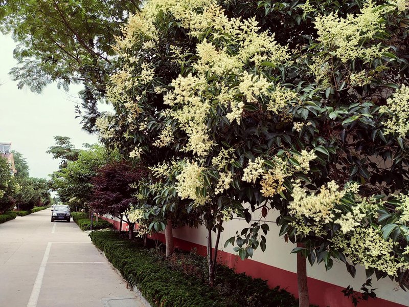 The Sea 酒店外观