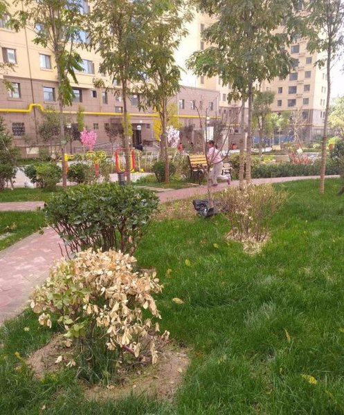 yezixiaozhuOver view