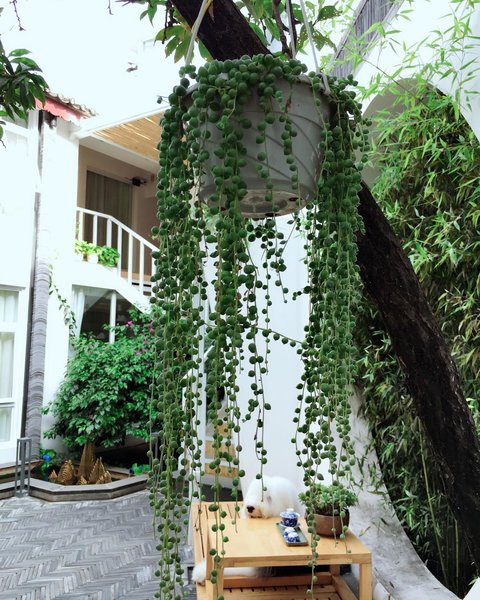 Heyiju Holiday Courtyard Over view