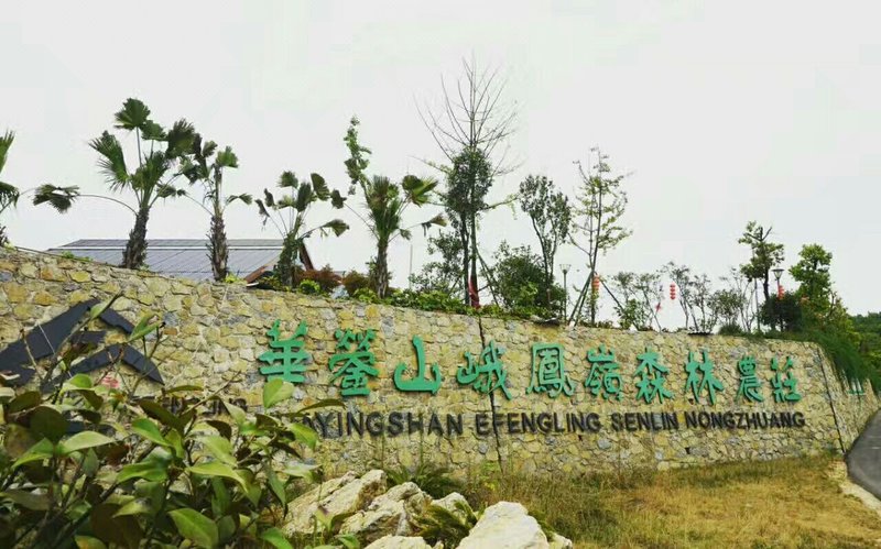 Efengling log cabinOther