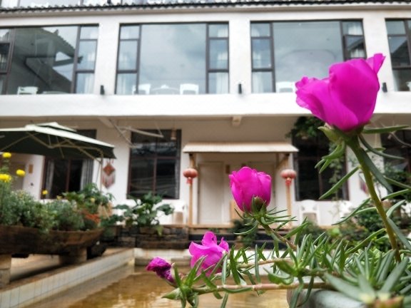 Puzhehei Yang Yard Over view