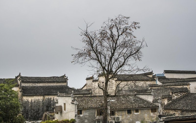 Qixin Meisu InnOver view