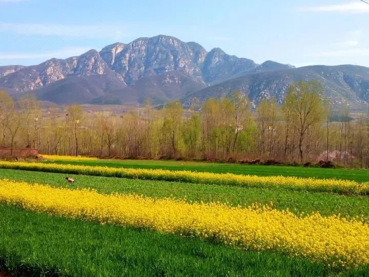 Chanxinju Zhibai Holiday HotelOver view