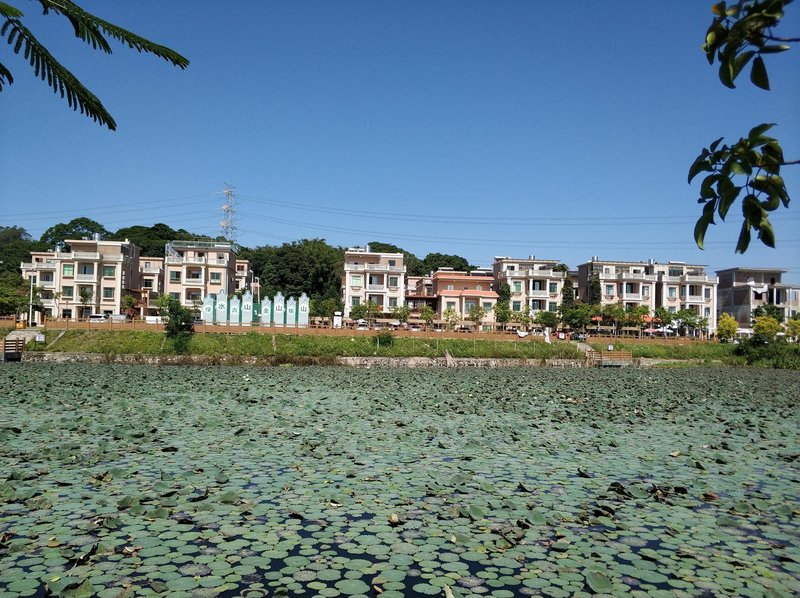 shangliang hotel Over view