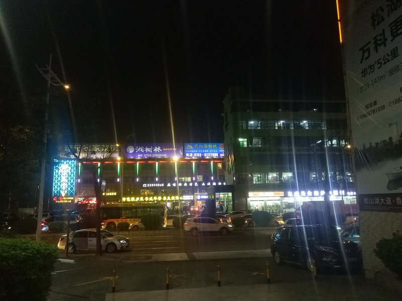 LAVANDE Hotel(Dongguan east bus station store) Over view