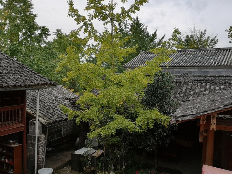 Baoshan Tengchong ginkgo village Ming Chuan Inn Over view