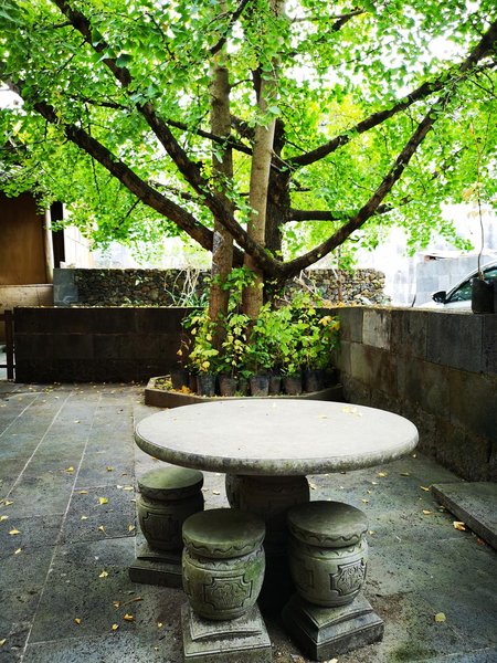 Baoshan Tengchong ginkgo village Ming Chuan Inn Over view