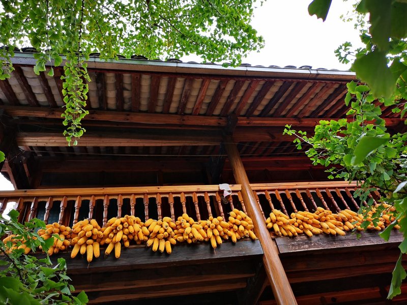 Baoshan Tengchong ginkgo village Ming Chuan Inn Over view