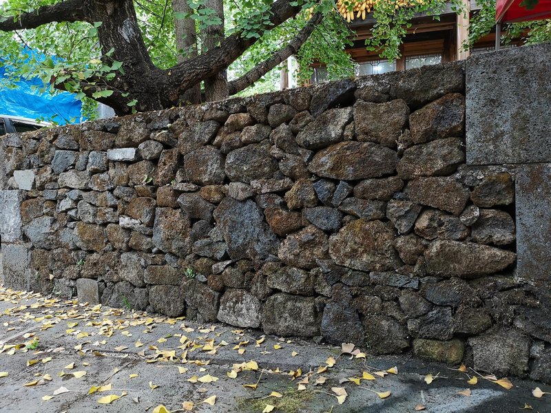 Baoshan Tengchong ginkgo village Ming Chuan Inn Over view