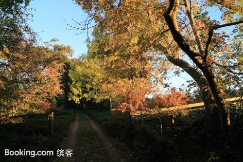 周边景点