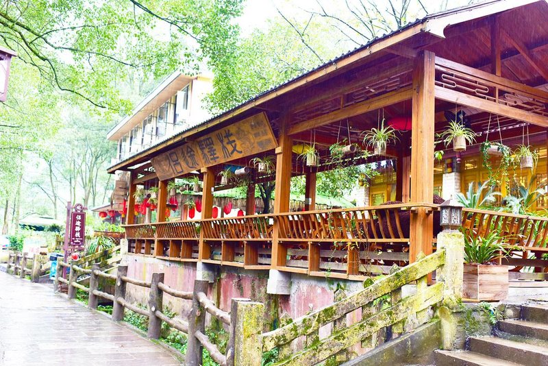 The CompanionOver view