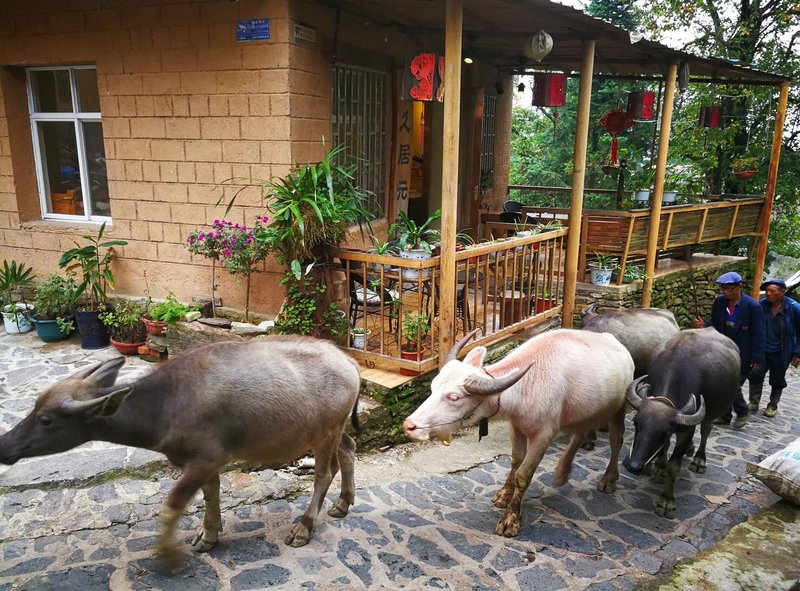 Timeless Hostel Yuanyang Over view
