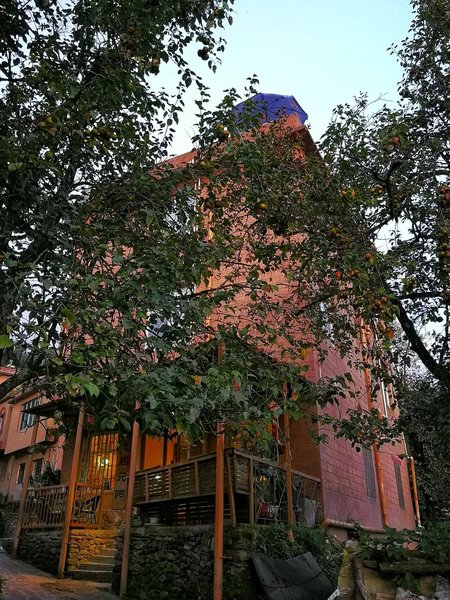 Timeless Hostel Yuanyang Over view