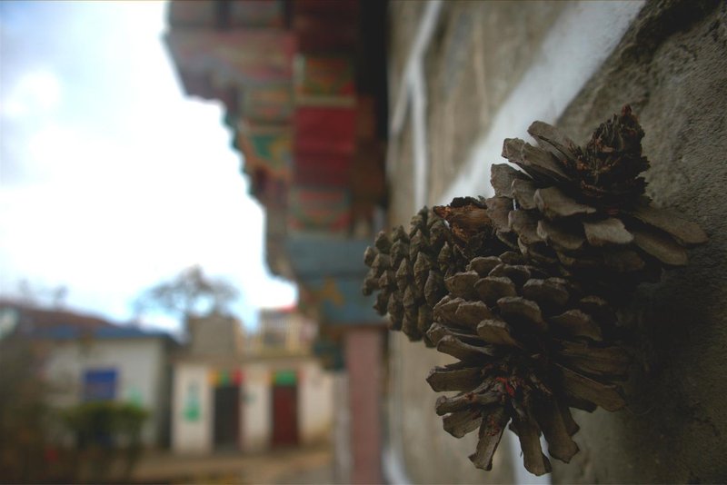 The Yarlung Zangbo Grand Canyon Fairyland Snowpeak HostelOver view