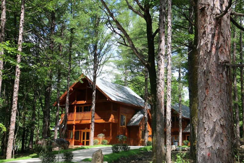 Neyin Ancient City Forest Tribe Chalet HotelOver view