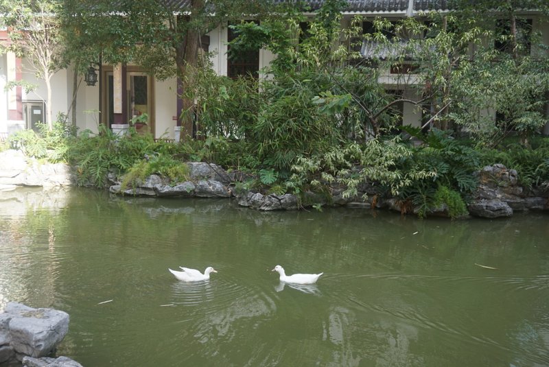 GUESTS COMINGOver view