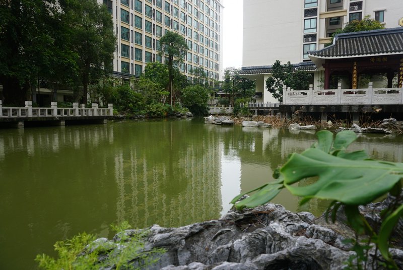 GUESTS COMINGOver view