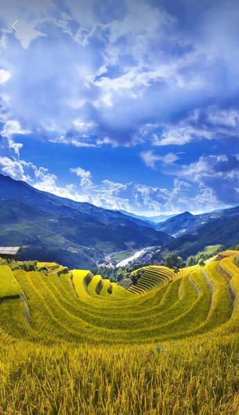 Longji Terrace Gaochu Shangtian Boutique Hotel Guest Room