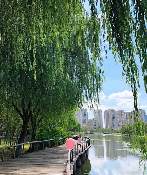 Anyue Jinghu Wetland Hostel Over view