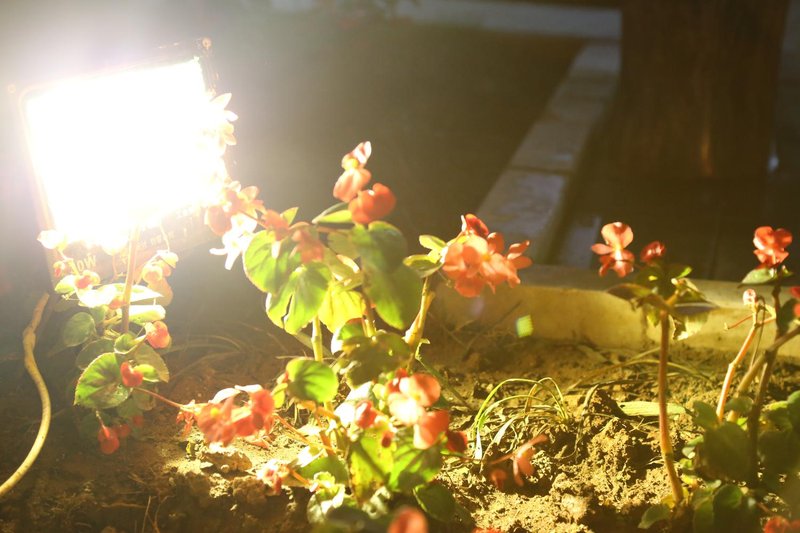 Xinjia Yuquan Hot Spring Hotel Over view